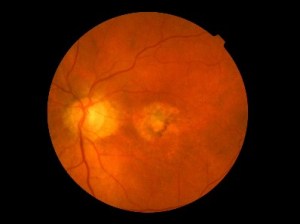 created by TOPCON TRC-NW200